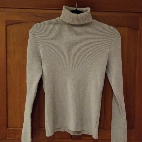 Silver Metallic Turtleneck 
